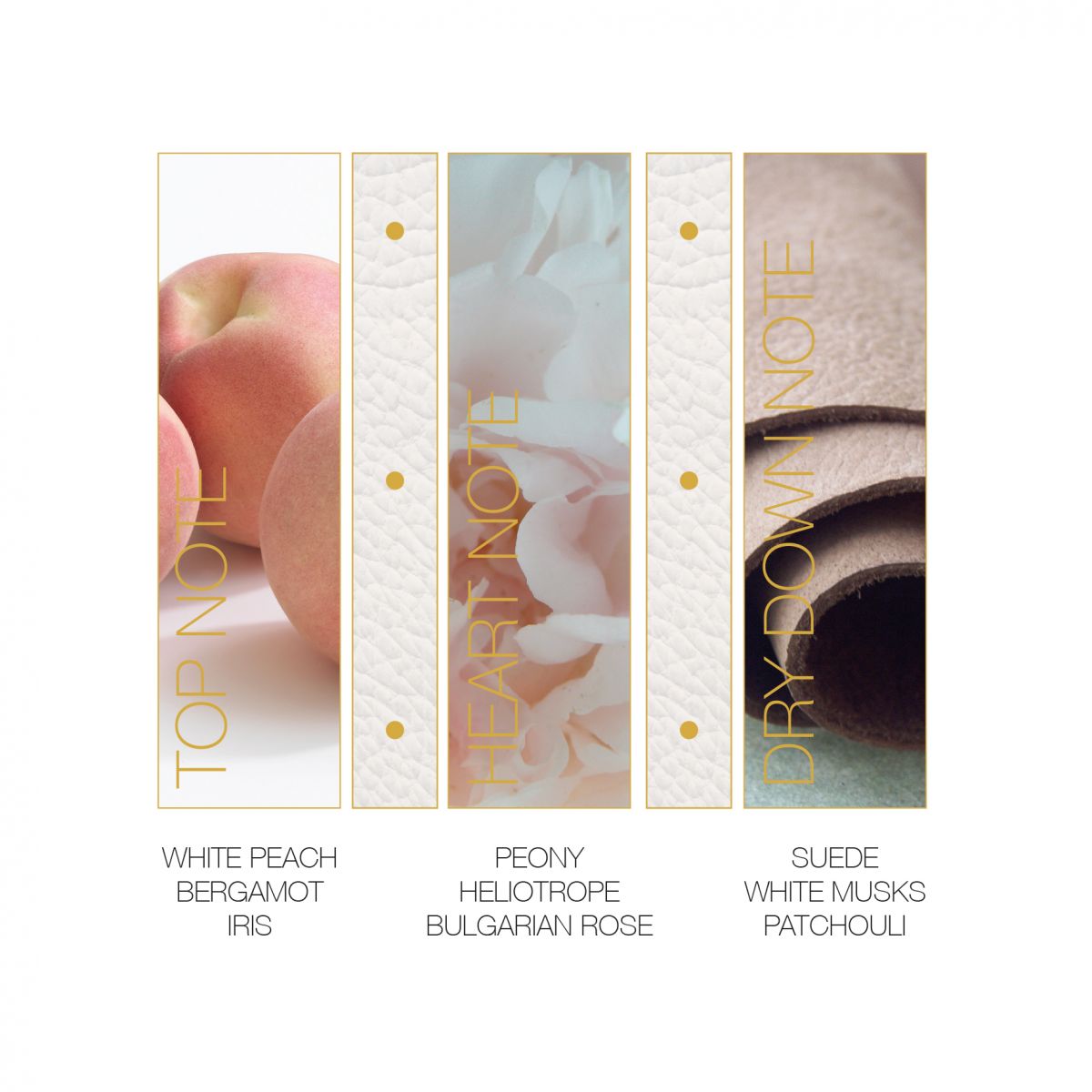 Почувствуй полноту жизни! Новый аромат Emozione от Ferragamo